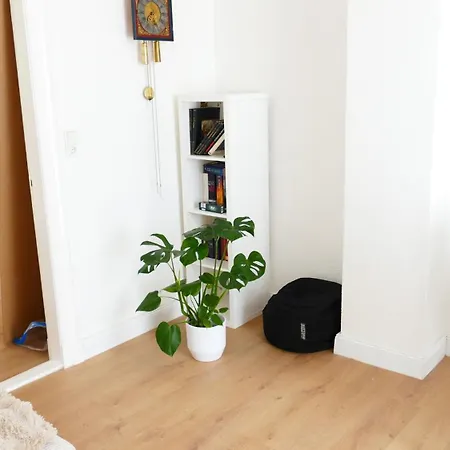 Kapitaenshaus Schaefer App Steuermann Apartment